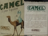 camel13