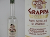 CESARINI
