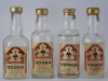 vodka vodka