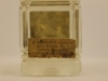 kummel01