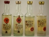 gambarotta-34 gambarotta-34