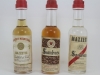 mazzetti_4 mazzetti_4