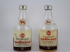 brandy-1a brandy-1a