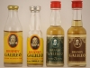 BRANDY GALILEO