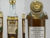 a TUOCA DEMISEC03